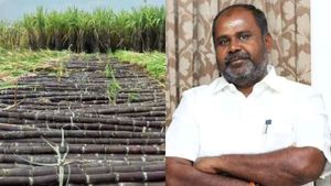 பொங்கல் பரிசு.. கரும்பு கொடுப்பதால் அரசின் பட்ஜெட்டில் துண்டு விழப்போகிறதா? ஆர்பி உதயகுமார் கேள்வி!
