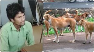 தெரு நாயை பலாத்காரம் செய்த போதை ஆசாமி.. ரத்தம் சொட்ட சொட்ட நாய் மருத்துவமனையில் அனுமதி! 