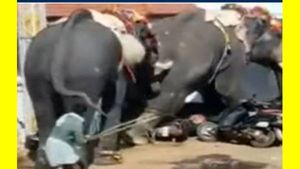 திடீர்னு 