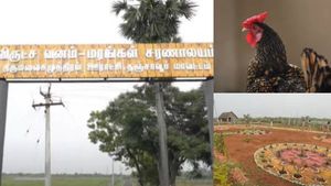  உலகின் சிறிய கோழி; குட்டை மாடு; மினி தியேட்டர்! - சுற்றுலாத்தலமாக மாறும் தஞ்சை தரிசு நிலம்