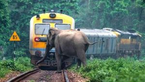  ஆண்டுக்கு 16,000 உயிரினங்கள் ரயில் மோதி பலி.. இதிலும் உ.பிதான் டாப்.. தமிழ்நாட்டில் எத்தனை தெரியுமா? 