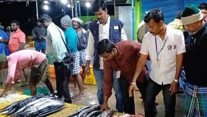 பார்மலின்..அது பிணத்திற்கு தானே ! 300 கிலோ மீன்களை அள்ளிச் சென்ற அதிகாரிகள்! கிடுகிடு திருப்பத்தூர்! 