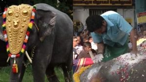 யானை பாகனின் கையை பிடித்த யானை லட்சுமி.. கடைசியாக பெற்ற முத்தம்.. கலங்க வைக்கும் வீடியோ 
