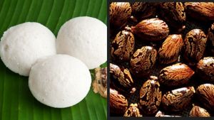 ஆமணக்கு விதை கலப்பு.. 3 நாட்களானாலும் கெடாத 'இட்லி'.. இதுதான் ஸ்லோ பாய்சன்.. உசுரு முக்கியம் மக்களே! 