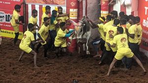 கேலரியில் இருந்த உதயநிதி! கீழே சட்டென திரும்பி பார்த்த காளைகள்! திகைத்து நின்ற மக்கள்! என்ன நடந்தது? 
