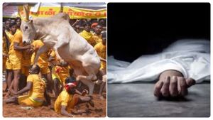 ஷாக்.. சீறி வந்த காளை..சிக்கிய நபர் படுகாயம்! ஜல்லிக்கட்டில் 3வது பலி! புதுக்கோட்டை அருகே சோகம்! 