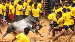 2 முறை ஒத்திவைக்கப்பட்டு தொடங்கியது தச்சங்குறிச்சி ஜல்லிக்கட்டு போட்டி! சீறி பாயும் காளைகள் 