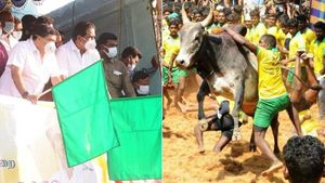 மதுரை அவனியாபுரத்தில் இன்று ஜல்லிக்கட்டு! சீறிப்பாயும் காளைகளை அடக்க காளையர்கள் ஆர்வம்! 