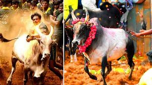 பாலமேடு ஜல்லிக்கட்டு ஸ்டார்ட்.. மல்லுக்கட்டும் வீரர்கள்! மாட்டுப் பொங்கலில் விழாக்கோலம் பூண்ட மதுரை 