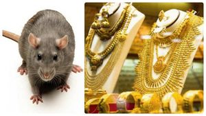 ஷோகேசில் வைக்கப்பட்டு இருந்த தங்க நகை மாயம்.. திருடன் என சிசிடிவி காட்சிகளை பார்த்தால்.. ட்விஸ்ட்! 