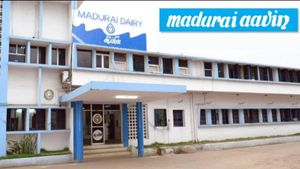 அதிமுக ஆட்சியில் முறைகேடு.. மதுரை ஆவின் பணி நியமன சர்ச்சை.. 47 பேரையும் நீக்கி ஆணையர் அதிரடி! 