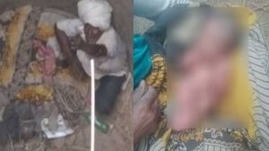 20 அடி கிணற்றில் அழுகுரல்.. பச்சிளம் குழந்தையை சுற்றியிருந்த 'நாகராஜா'! அடுத்து நடந்த சுவாரசியம் 