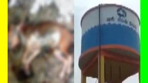 ஈரக்குலையே நடுங்குது.. குடிக்கிற தண்ணி தொட்டியில் 