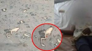 தவளை இறந்து கிடந்த ஐஸ்கிரீமை சாப்பிட்ட குழந்தைகள் ஆஸ்பத்திரியில் அனுமதி.. மதுரை அருகே பரபரப்பு! 