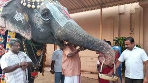 ஸ்ரீரங்கம் கோயில் ஆண்டாள் யானைக்கு 44 ஆவது பிறந்தநாள்.. கூடையில் சாக்லேட்டுடன் வந்த பர்த்டே பேபி 