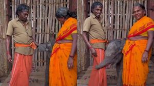 குட்டி யானையை வளர்க்கும் பணியை தொடங்கிய பொம்மன் பெள்ளி..விமானத்தில் கை தட்டி வரவேற்ற பயணிகள் 