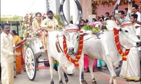 4 கி.மீ. தூரம்.. தாலி கட்டிய கையோடு மனைவியை மாட்டு வண்டியில் அழைத்து சென்ற டாக்டர்! நெகிழ்ச்சி 