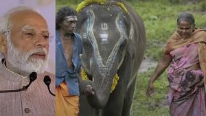 ஸ்பெஷல் டே.. ஆஸ்கர் புகழ் பொம்மன்-பெள்ளி தம்பதியை சந்தித்து கலந்துரையாடிய பிரதமர் மோடி! உற்சாகம் 