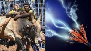ஜல்லிக்கட்டு போட்டியில் மின்சாரம் பாய்ந்து 14 பேருக்கு நேர்ந்த கதி - புதுக்கோட்டை அருகே பரபரப்பு! 