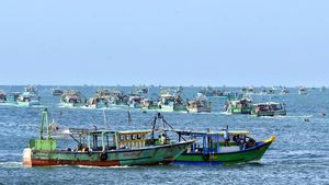 தமிழ்நாடு, புதுவையில் அமலுக்கு வந்தது..  61 நாட்கள் மீன் பிடி தடை காலம்.. ஏன் முக்கியம் தெரியுமா? 