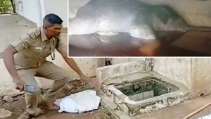 கோவையில் நடிகர் சத்யராஜ் சகோதரி வீட்டு தண்ணீர் தொட்டிக்குள் விழுந்த குட்டி யானை.. பெரும் சோகம்