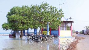 தூத்துக்குடியில்  வழக்கத்துக்கு மாறாக கொந்தளித்த கடல்.. 60 அடி தூரம் பாய்ந்து வந்த கடல் நீர்! 