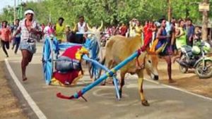 இது தான் ரியல் முரட்டு காளை..  போட்டியில் வண்டியே உடைந்த போதும்.. தன்னந்தனியாக சிறப்பான சம்பவம் 