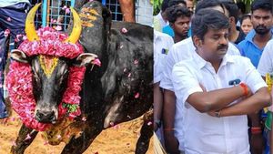 கருப்பு கொம்பா.. பம்பரம் போல் சுற்றிச் சுழன்றானே.. உயிரிழந்த காளை நினைவாக விஜயபாஸ்கர் கண்ணீர் கவிதை! 