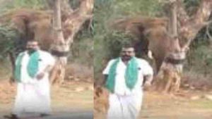 வணக்கம்டா மாப்ள.. காட்டு யானையை கை தூக்கி கும்பிட்டு விரட்ட போன நபர்! வனத்துறை வார்னிங் 