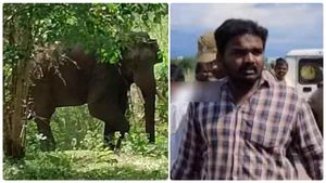 திடீரென பறந்த ட்ரோனால் மிரண்ட அரிக்கொம்பன் .. லைக்ஸ்க்கு ஆசைப்பட்ட  யூடியூபர் செஞ்ச வேலை