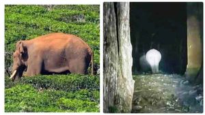 அரிகொம்பனின் அட்டகாசத்தால் அரண்டு போன வனத்துறை.. யானையை பிடிக்கும் வரை கம்பம் நகரில் 144 தடை உத்தரவு