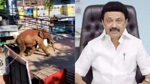 உயிர் போச்சே.. அரிசி கொம்பன் யானை தாக்கி பலியான பால்ராஜ்! முதலமைச்சர் ஸ்டாலின் ரூ.5 லட்சம் நிவாரணம் 