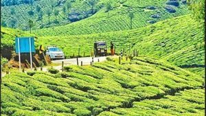 தேனிக்கு டூர் போறீங்களா.. வழக்கமான இடங்களை விடுங்க..இதபோய் பாருங்க! கவனம் பெறாத வாவ் ஸ்பாட் 