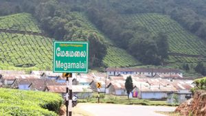 மேகமலைக்கு போக ஆசைப்படுறீங்களா.. தேனி கலெக்டரின் எச்சரிக்கையை கேட்டுட்டு போங்க! 