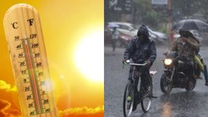 இங்கிட்டு கூல்.. அங்கிட்டு ஹாட்.. 11 மாவட்டங்களில் கனமழை? மறுபக்கம் 2-3 டிகிரி வெப்பம் உயருமாம் 