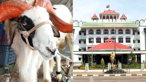 இந்தா கிளம்பிட்டாங்கல்ல.. பக்ரீத் வருதே! ஆடு, மாடுகளை பலியிட தடைகோரிய வழக்கு - மறுத்த உயர்நீதிமன்றம் 