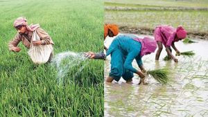நெல் 7%, எள் 10.3%.. பயிர்களுக்கான குறைந்தபட்ச கொள்முதல் விலை  உயர்வு.. மத்திய அரசு அதிரடி 