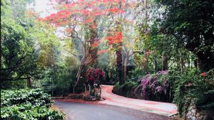 எது சேலத்துல சுவிட்சர்லாந்தா.. எங்கங்க? பார்வைக்கு பக்கா “ட்ரீட்” வைக்கும் பாதை - ரைடுக்கு ரெடியா 