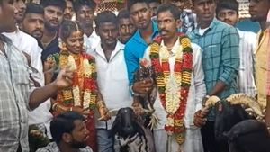 விருதுநகரே வியந்துடுச்சே.. கிடாயுடன் நெருங்கி வந்ததுமே..துள்ளி துள்ளி குதிச்ச மாப்ளை.. நரிக்குடியில்