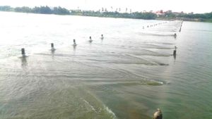 தென்பெண்னையாறு நதி நீர் பங்கீடு: தீர்ப்பாயம் அமைக்க மேலும் ஒரு மாதம் மத்திய அரசு அவகாசம் கேட்பு 