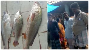 மூனு மீனு ரூ.16 ஆயிரம்.. அதிராம்பட்டினம் மீன் மார்க்கெட்டில் அனல் பறந்த ஏலம் - இவ்வளவு மதிப்பு ஏன்? 
