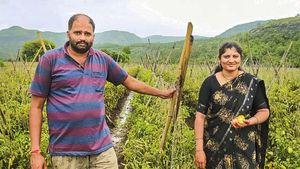 சின்னதா மாற்றி யோசிச்சேன்.. ஒரே மாதத்தில் 3 கோடி சம்பாத்தியம்.. தக்காளி விவசாயி சொன்ன சீக்ரெட் 