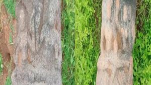 மதுரையில் ஒரே அதிசயம்.. புதருக்குள் 