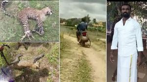 என்னையே கடிக்கிறியா? சிறுத்தையின் கால்களை கட்டி பைக்கில் தூக்கி சென்ற கர்நாடகா இளைஞர்! ஷாக் வீடியோ