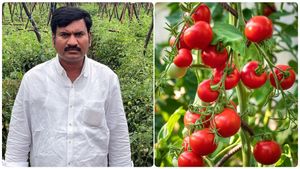  தொட்ட அனைத்திலும் தோல்வி! விடாமல் முயன்ற விவசாயி..  தக்காளியால் ஒரே மாதத்தில் கோடீஸ்வரனான கதை! செம