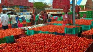 டன் கணக்கில் தக்காளி.. லாரியுடன் அலேக்காக அள்ளிய பலே திருடர்கள்! என்னப்பா இப்படி பண்றீங்களேப்பா 