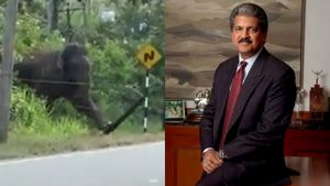 தடைகளை எப்படி கடக்கனும் தெரியுமா? ஆனந்த் மகிந்திரா என்ன சொல்லியிருக்காரு பாருங்க.. அடடே செம! 