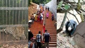 திருப்பதி மலைப்பாதையில் சிறுத்தையைத் தொடர்ந்து கரடி நடமாட்டம்.. அதிர்ச்சியில் பக்தர்கள் 