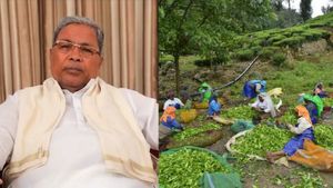  இலவசங்களை அள்ளி தந்த சித்தராமையா அரசு.. வேலைக்கு ஆள் கிடைக்கவில்லையாம்! கையை பிசையும் விவசாயிகள்