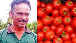 திருப்பூர் உழவர் சந்தை மொத்தமும் ஹேப்பி.. ஒரே நாளில் லட்சாதிபதியான தக்காளி விவசாயி 